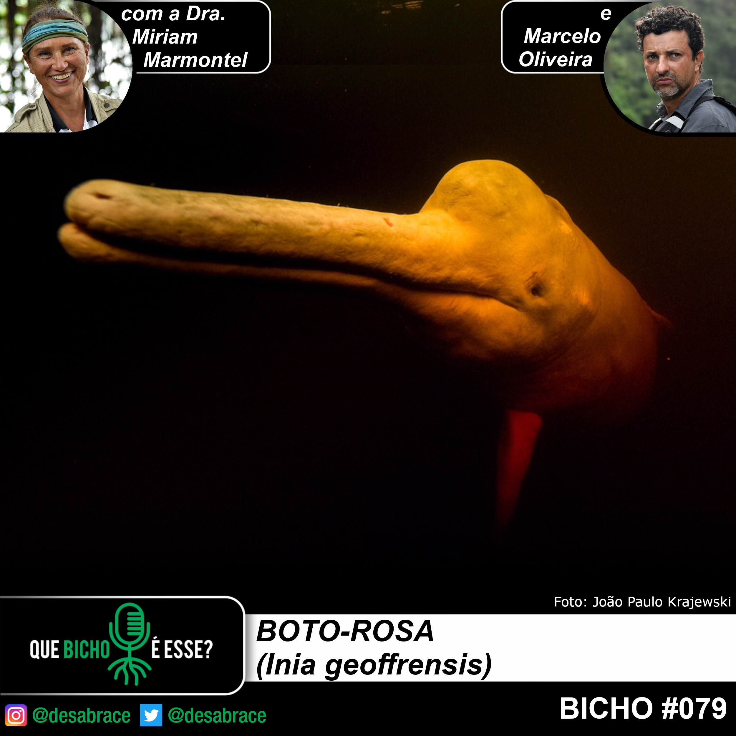 Ciência e Conservação - DesAbraçando Árvores